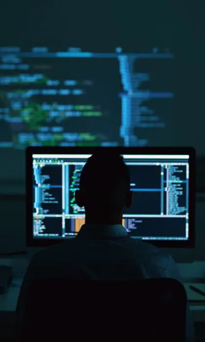 Servicio de Desarrollo Desarrollo de sistemas